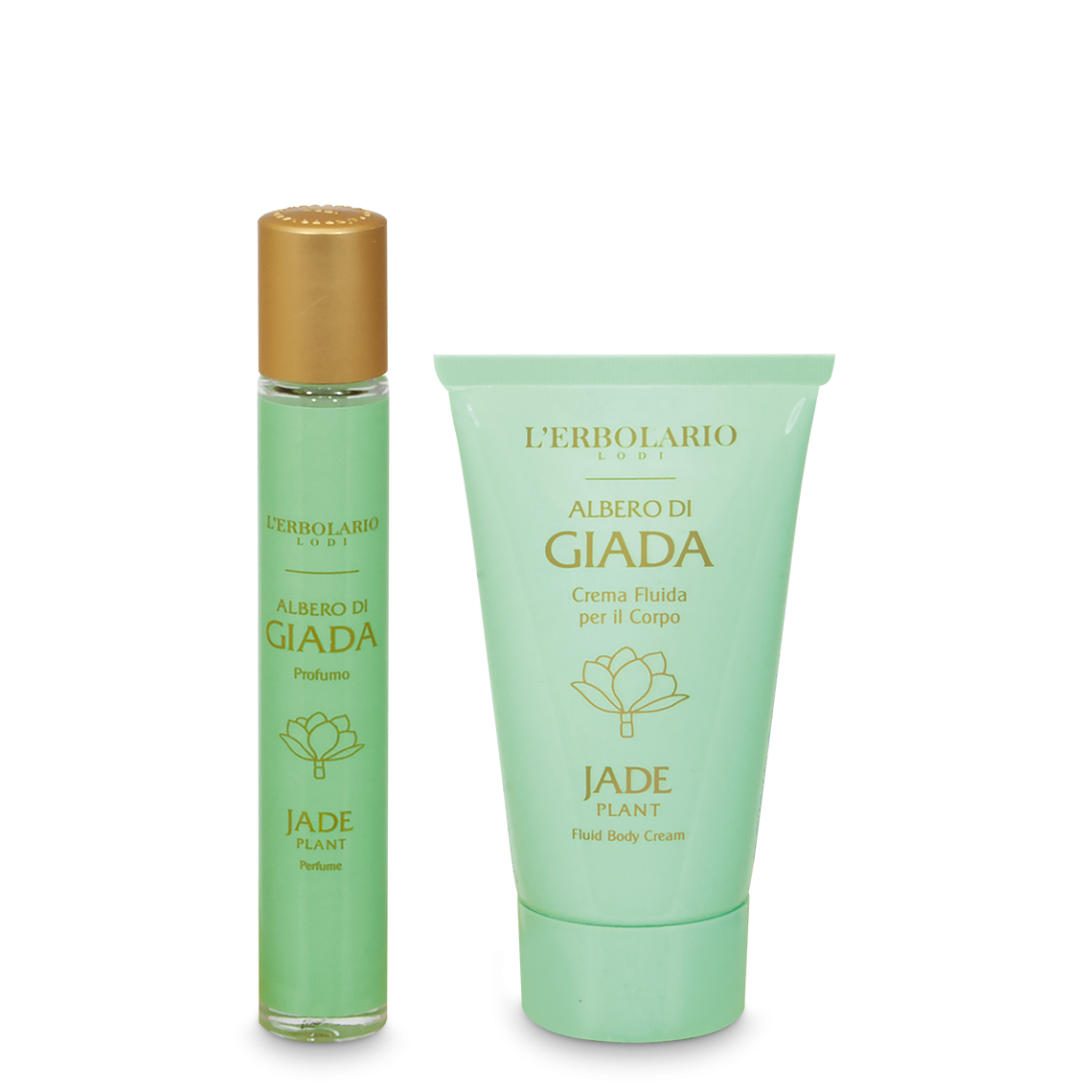 Kit Corpo Albero di Giada